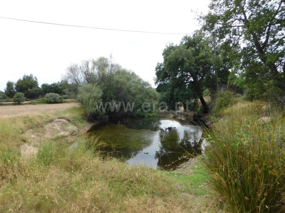Quinta T2 para Venda em Vale de Prazeres e Mata da Rainha Foto 19