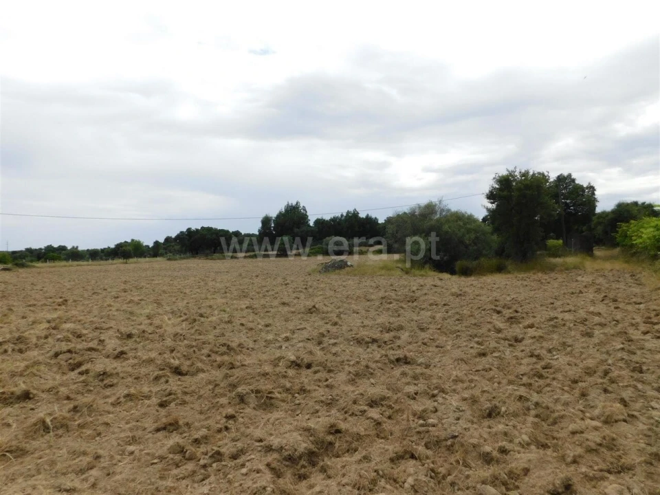 Quinta T2 para Venda em Vale de Prazeres e Mata da Rainha Foto 18