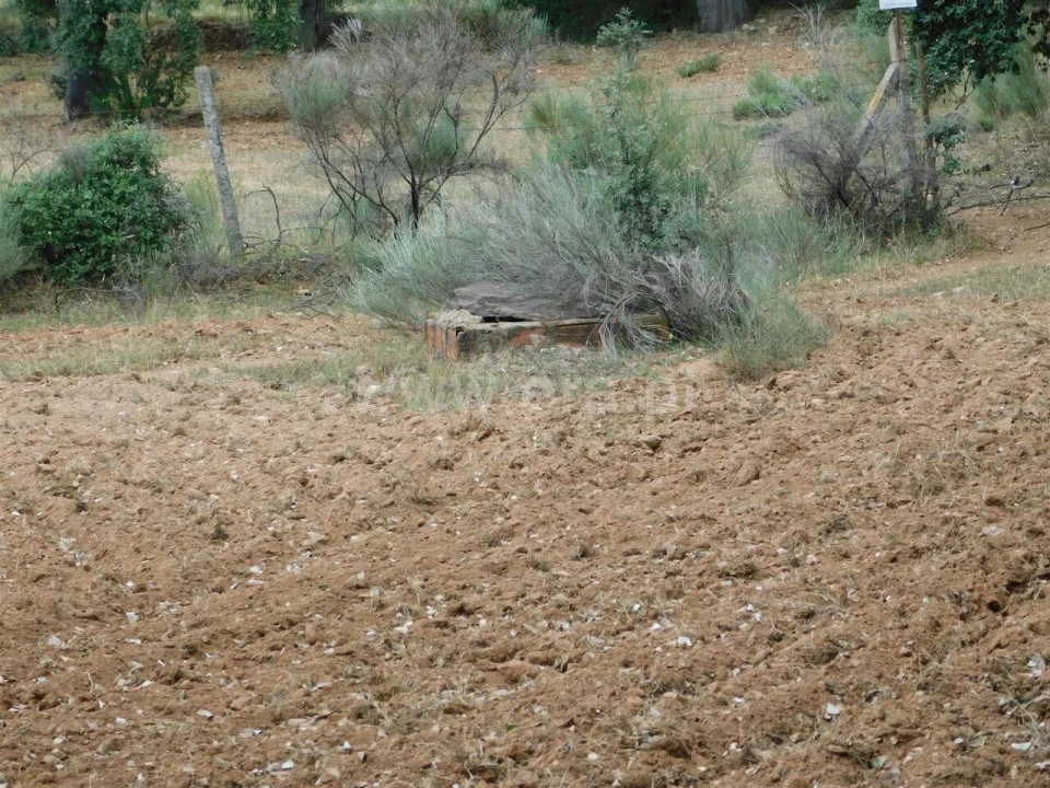 Quinta T2 para Venda em Vale de Prazeres e Mata da Rainha Foto 17
