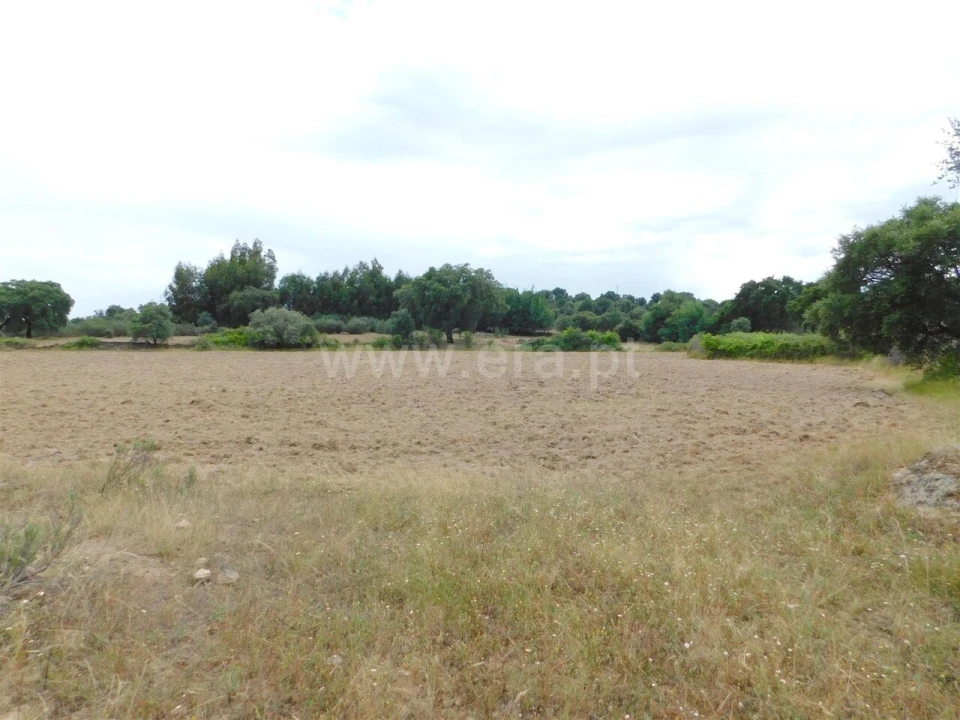 Quinta T2 para Venda em Vale de Prazeres e Mata da Rainha Foto 20