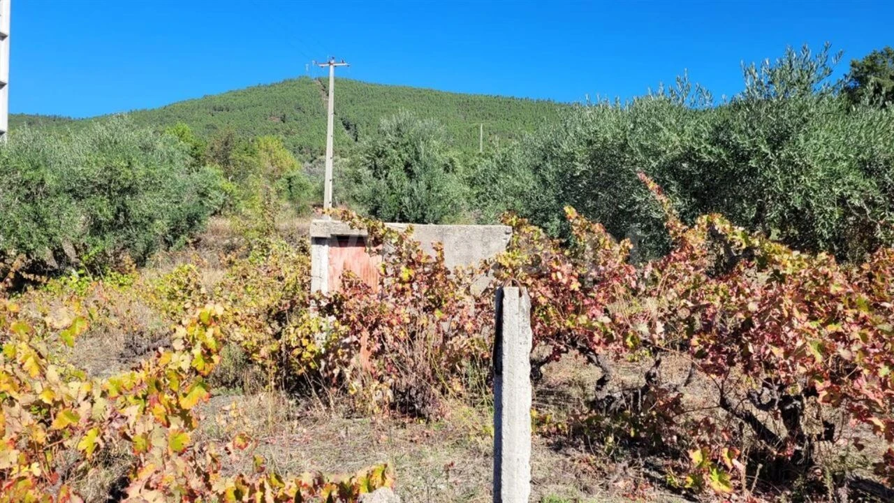 Terreno para Venda em Vale de Prazeres e Mata da Rainha Foto 1
