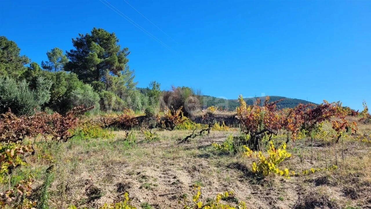 Terreno para Venda em Vale de Prazeres e Mata da Rainha Foto 2