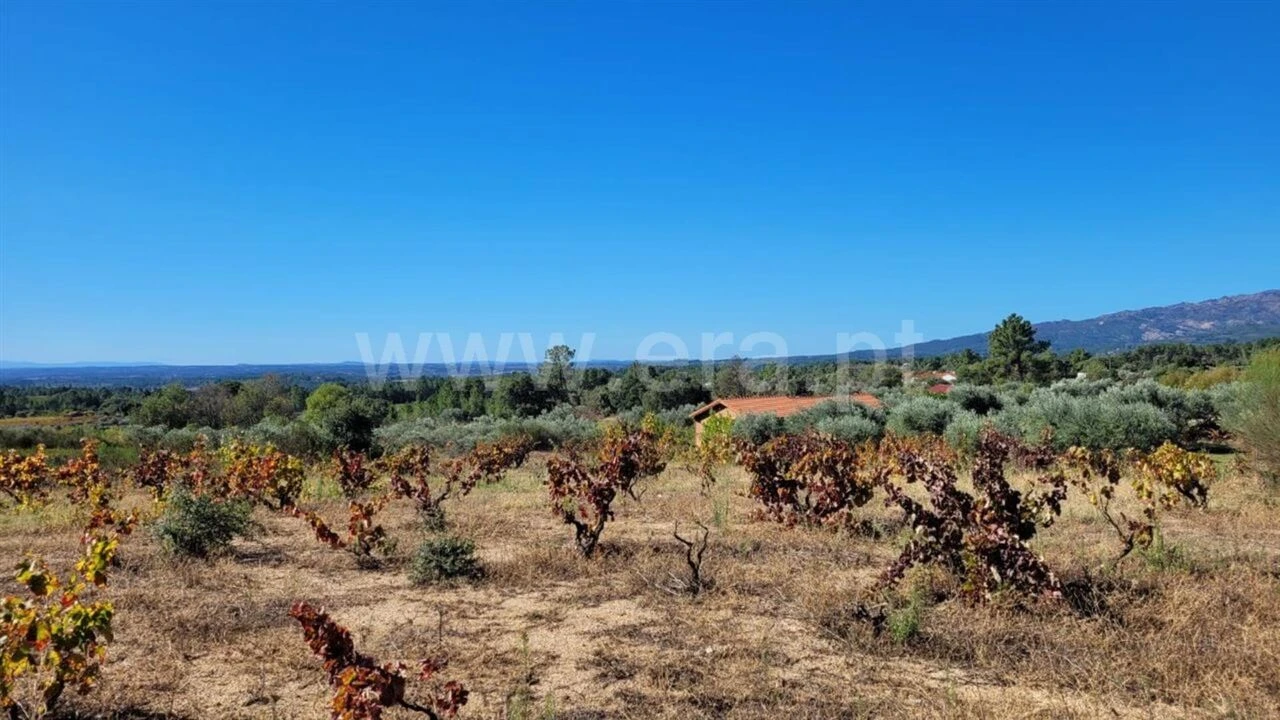 Terreno para Venda em Vale de Prazeres e Mata da Rainha Foto 4