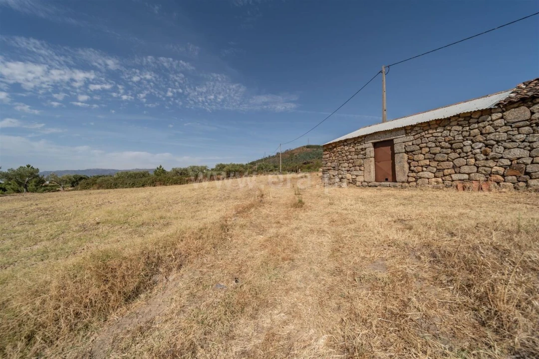 Quinta T0 para Venda em Vale de Prazeres e Mata da Rainha Foto 11