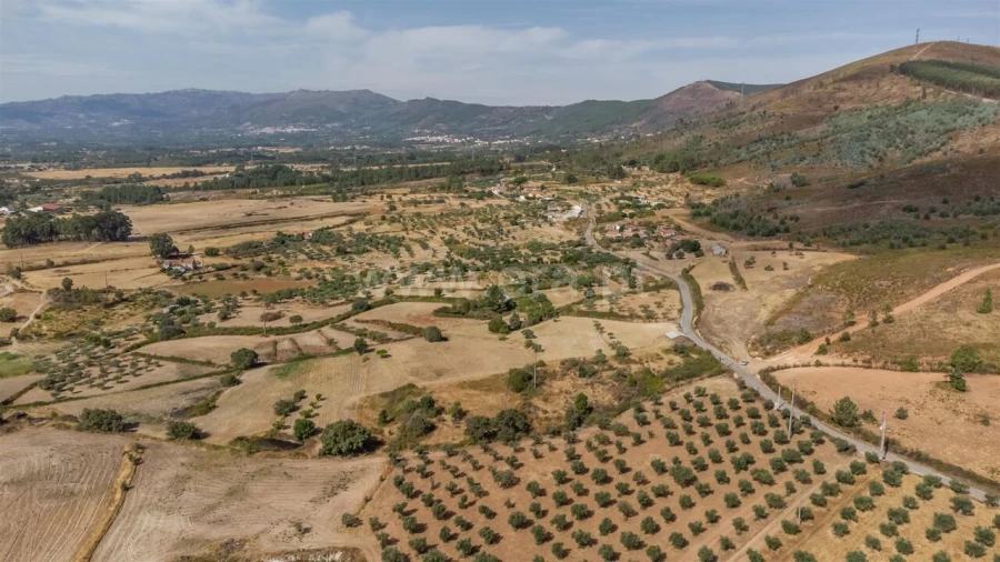 Quinta T0 para Venda em Vale de Prazeres e Mata da Rainha Foto 9