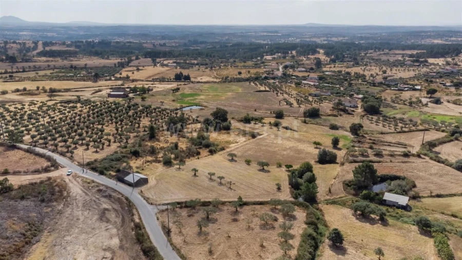 Quinta T0 para Venda em Vale de Prazeres e Mata da Rainha Foto 4
