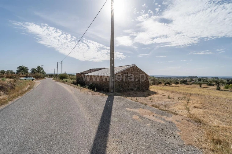 Quinta T0 para Venda em Vale de Prazeres e Mata da Rainha Foto 14