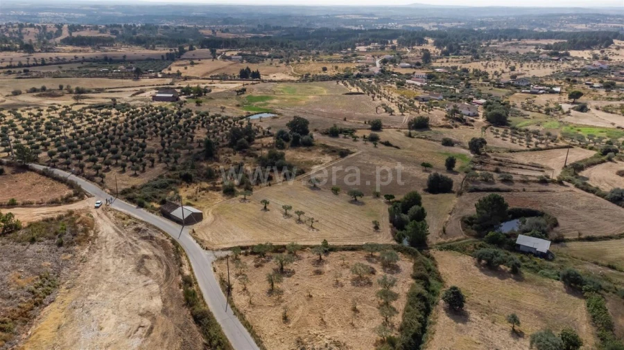 Quinta T0 para Venda em Vale de Prazeres e Mata da Rainha Foto 3