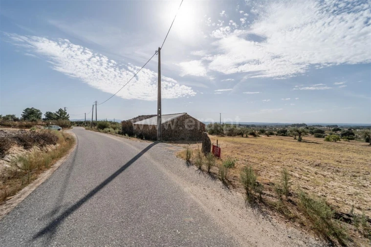 Quinta T0 para Venda em Vale de Prazeres e Mata da Rainha Foto 15