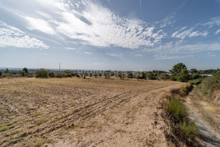 Quinta T0 para Venda em Vale de Prazeres e Mata da Rainha Foto 18