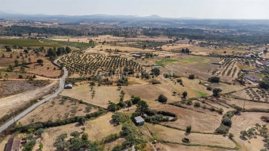 Quinta T0 para Venda em Vale de Prazeres e Mata da Rainha Foto 5