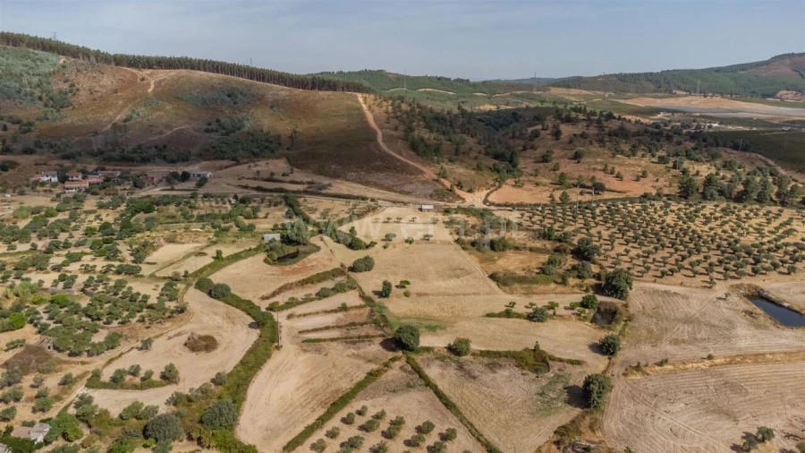 Quinta T0 para Venda em Vale de Prazeres e Mata da Rainha Foto 7
