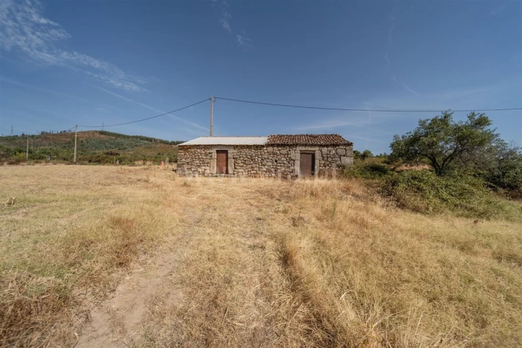 Quinta T0 para Venda em Vale de Prazeres e Mata da Rainha Foto 19