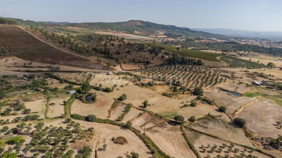 Quinta T0 para Venda em Vale de Prazeres e Mata da Rainha Foto 6