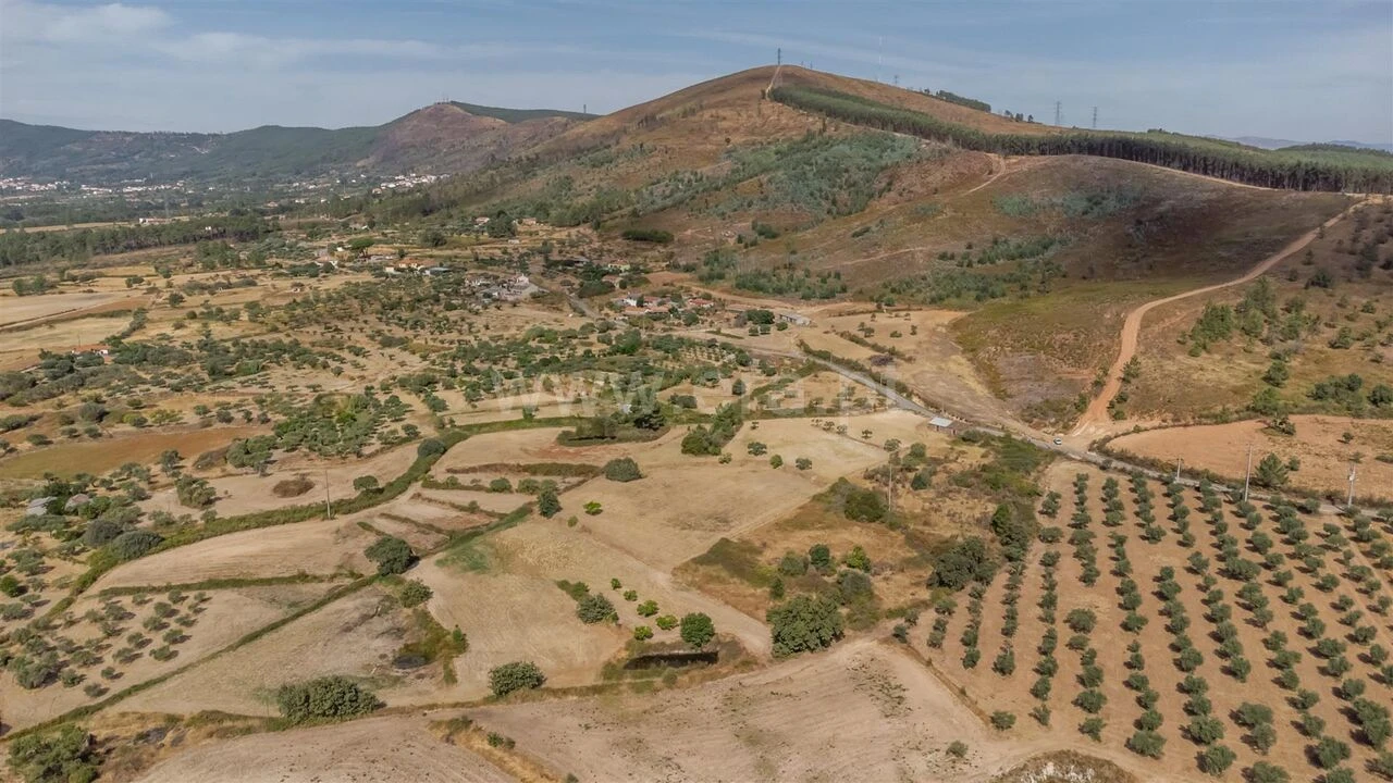 Quinta T0 para Venda em Vale de Prazeres e Mata da Rainha Foto 8