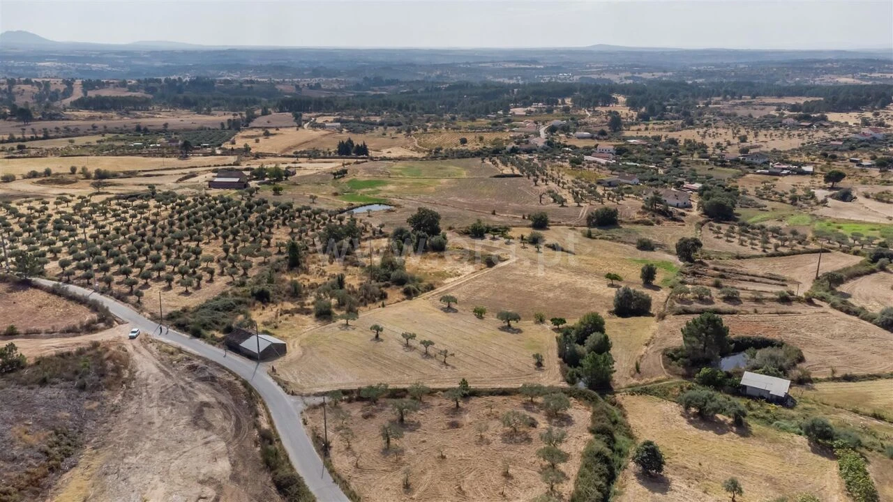 Quinta T0 para Venda em Vale de Prazeres e Mata da Rainha Foto 4
