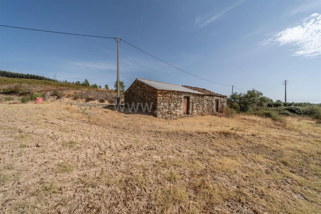 Quinta T0 para Venda em Vale de Prazeres e Mata da Rainha Foto 12