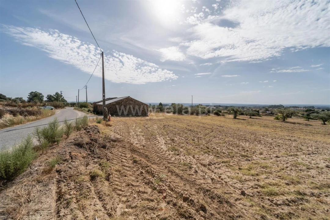 Quinta T0 para Venda em Vale de Prazeres e Mata da Rainha Foto 17