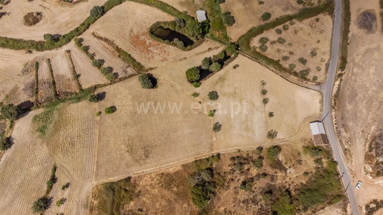 Quinta T0 para Venda em Vale de Prazeres e Mata da Rainha Foto 10