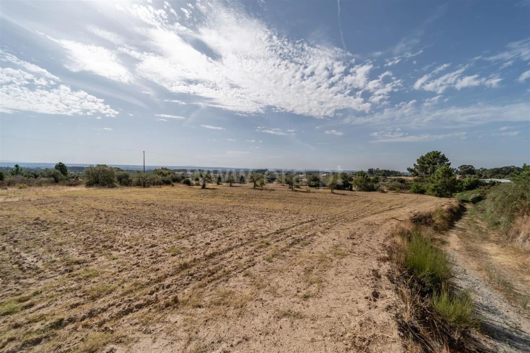 Quinta T0 para Venda em Vale de Prazeres e Mata da Rainha Foto 18