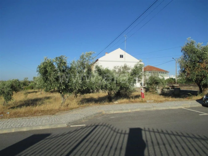 Terreno para Venda em Póvoa de Atalaia e Atalaia do Campo Foto 4