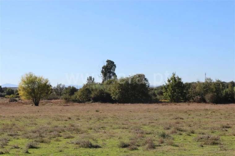 Terreno para Venda em Fundão, Valverde, Donas, A. Joanes, A. Nova Cabo Foto 2