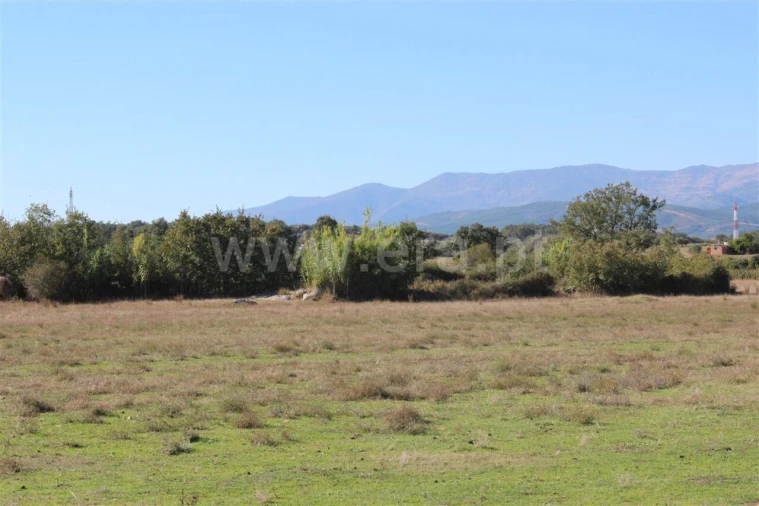 Terreno para Venda em Fundão, Valverde, Donas, A. Joanes, A. Nova Cabo Foto 1