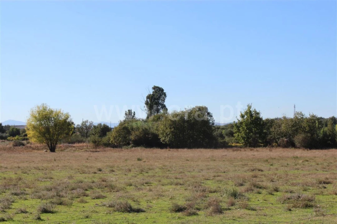 Terreno para Venda em Fundão, Valverde, Donas, A. Joanes, A. Nova Cabo Foto 2