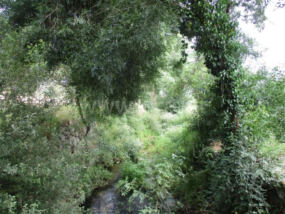 Quinta T0 para Venda em Póvoa de Atalaia e Atalaia do Campo Foto 6