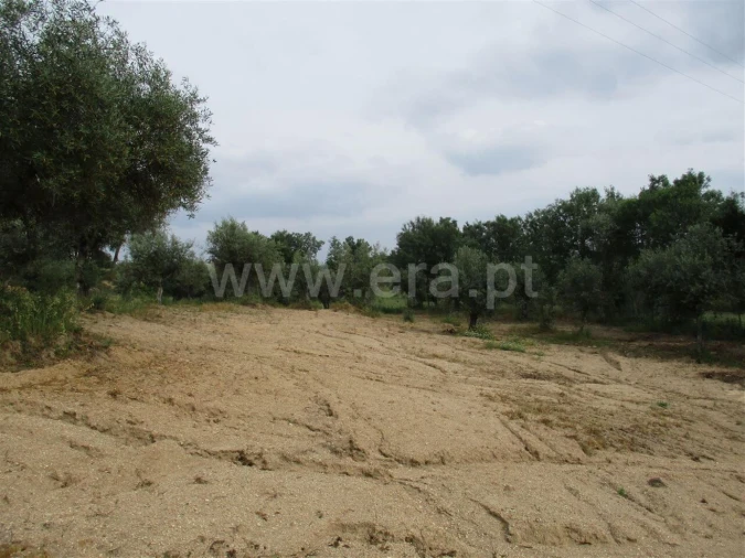Quinta T0 para Venda em Póvoa de Atalaia e Atalaia do Campo Foto 5