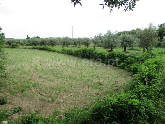 Quinta T0 para Venda em Póvoa de Atalaia e Atalaia do Campo Foto 1