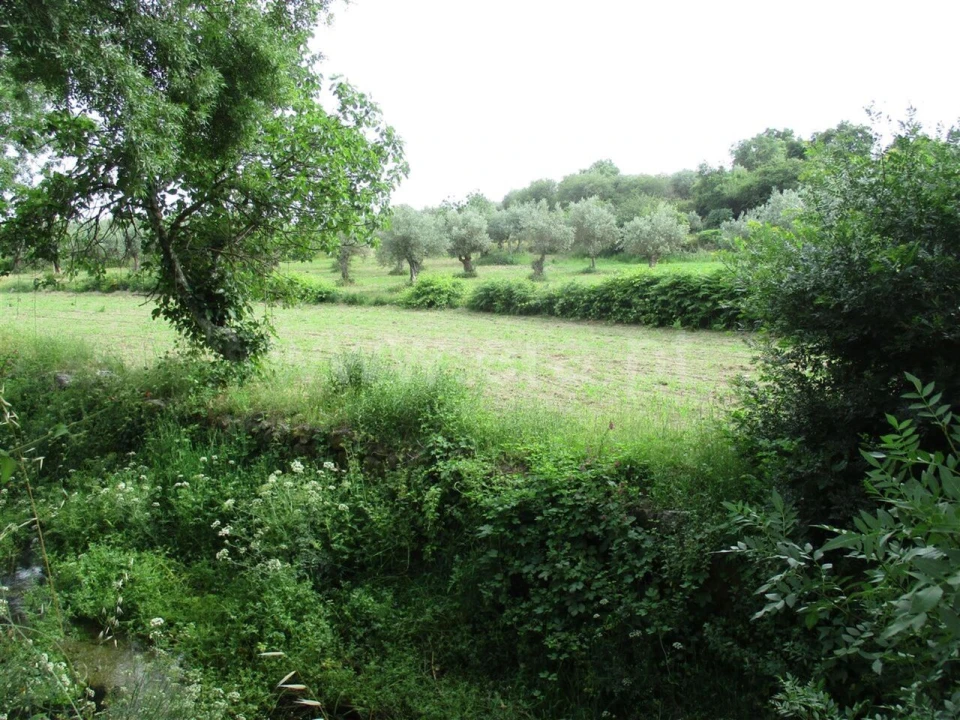Quinta T0 para Venda em Póvoa de Atalaia e Atalaia do Campo Foto 3
