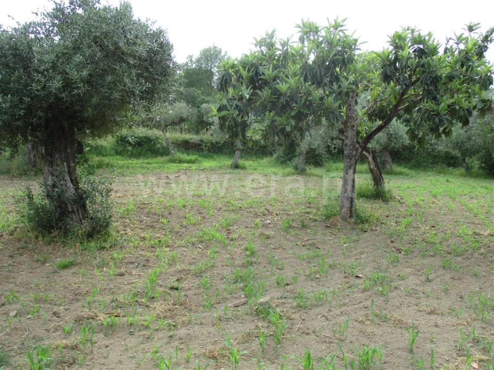 Quinta T0 para Venda em Póvoa de Atalaia e Atalaia do Campo Foto 10
