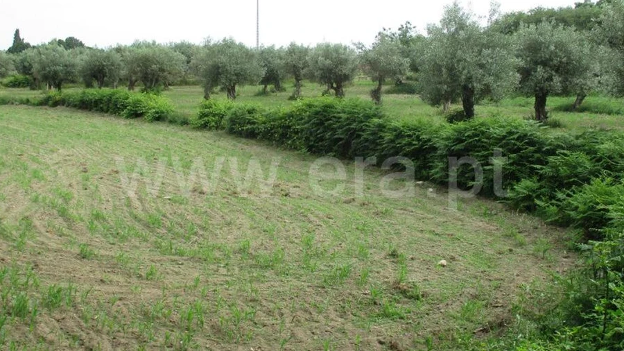 Quinta T0 para Venda em Póvoa de Atalaia e Atalaia do Campo