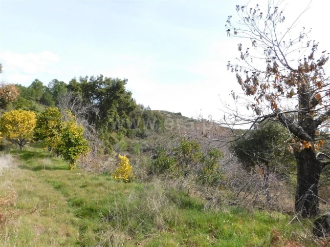 Quinta T0 para Venda em Vale de Prazeres e Mata da Rainha Foto 15