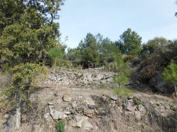 Quinta T0 para Venda em Vale de Prazeres e Mata da Rainha Foto 11