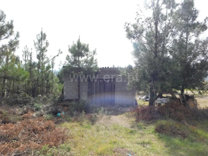 Quinta T0 para Venda em Vale de Prazeres e Mata da Rainha Foto 2