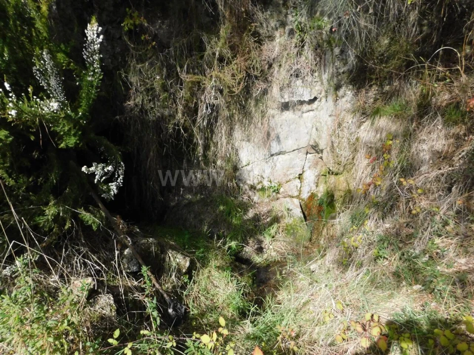 Quinta T0 para Venda em Vale de Prazeres e Mata da Rainha Foto 8