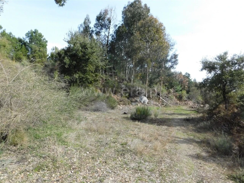 Quinta T0 para Venda em Vale de Prazeres e Mata da Rainha Foto 13