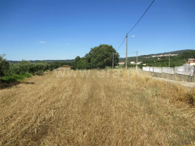 Terreno para Venda em Fundão, Valverde, Donas, A. Joanes, A. Nova Cabo Foto 2