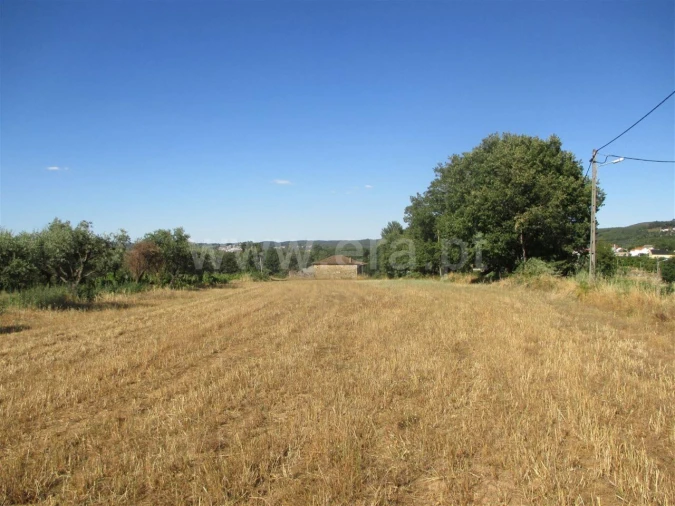 Terreno para Venda em Fundão, Valverde, Donas, A. Joanes, A. Nova Cabo Foto 3