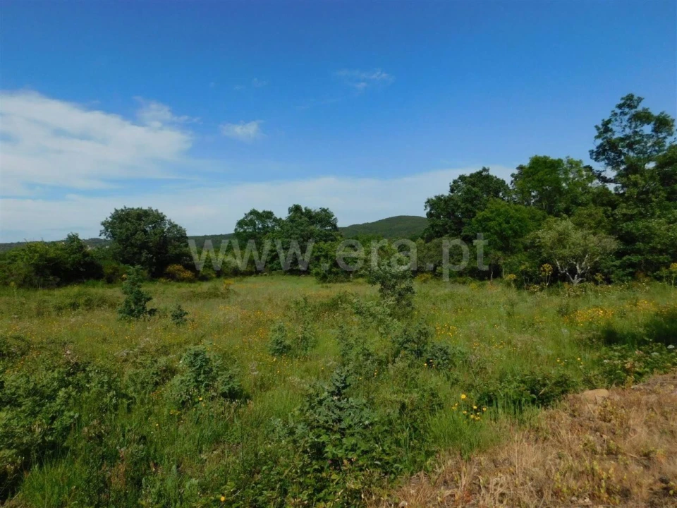 Terreno para Venda em Fundão, Valverde, Donas, A. Joanes, A. Nova Cabo Foto 3