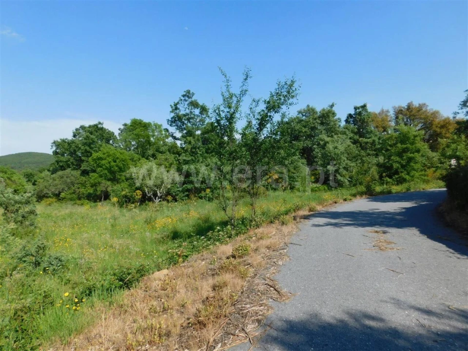 Terreno para Venda em Fundão, Valverde, Donas, A. Joanes, A. Nova Cabo Foto 4