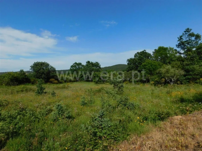 Terreno para Venda em Fundão, Valverde, Donas, A. Joanes, A. Nova Cabo Foto 3