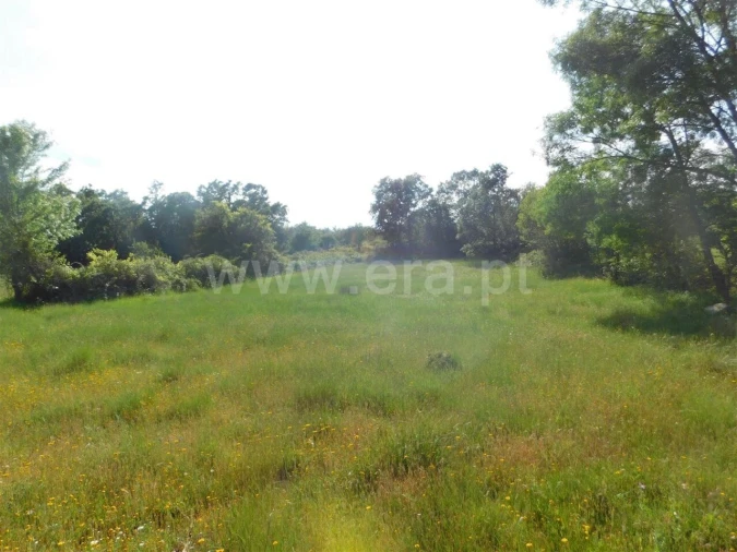 Terreno para Venda em Fundão, Valverde, Donas, A. Joanes, A. Nova Cabo Foto 6