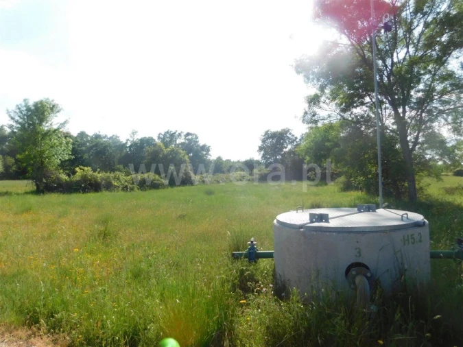 Terreno para Venda em Fundão, Valverde, Donas, A. Joanes, A. Nova Cabo Foto 1