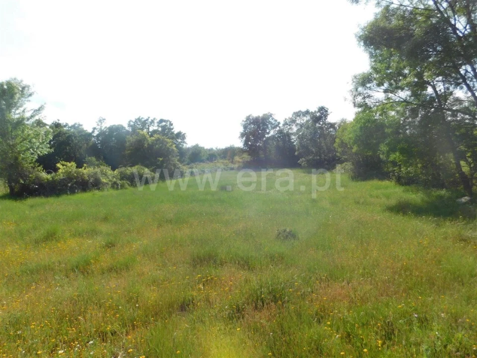 Terreno para Venda em Fundão, Valverde, Donas, A. Joanes, A. Nova Cabo Foto 6