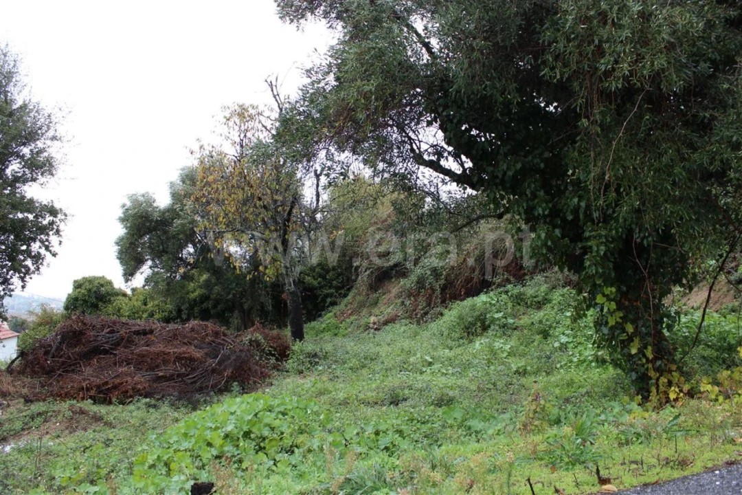 Quinta T0 para Venda em Fundão, Valverde, Donas, A. Joanes, A. Nova Cabo Foto 3