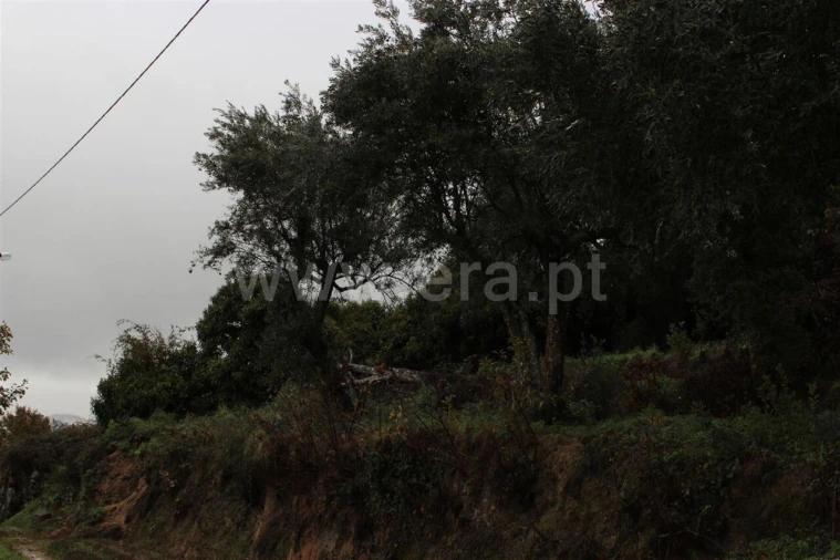 Quinta T0 para Venda em Fundão, Valverde, Donas, A. Joanes, A. Nova Cabo Foto 2