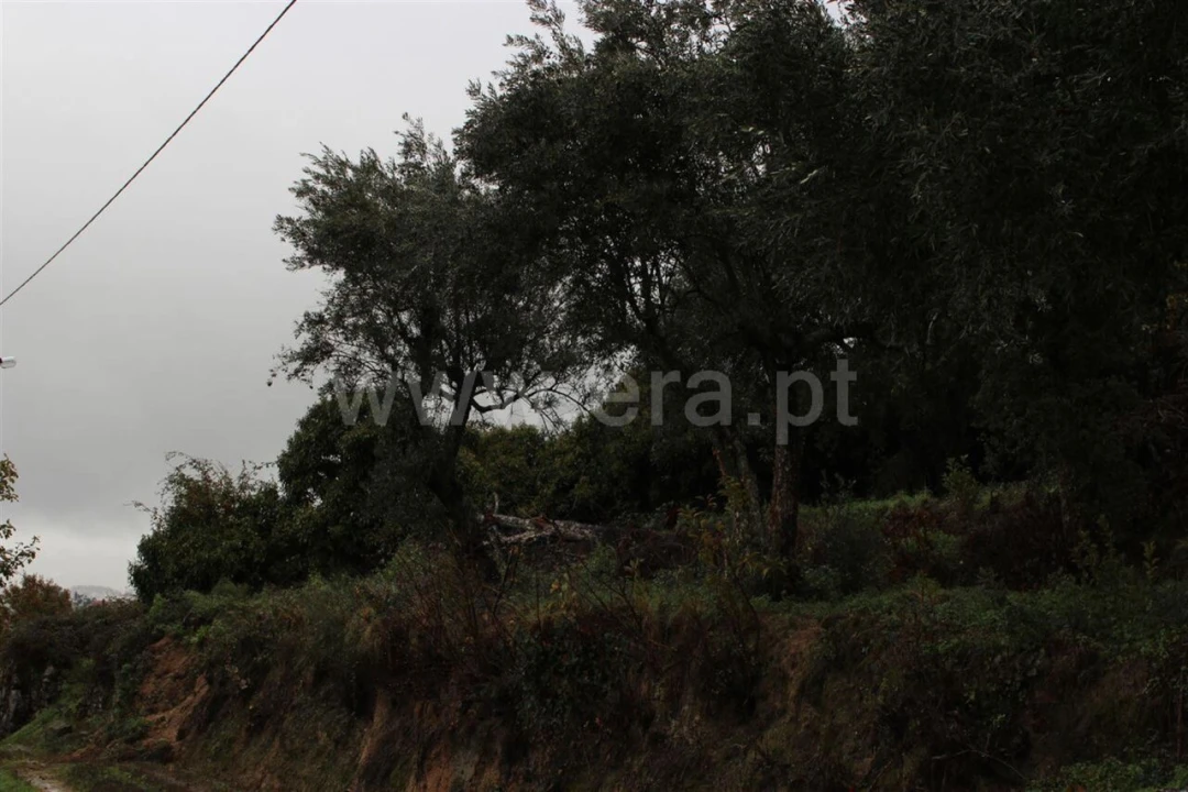 Quinta T0 para Venda em Fundão, Valverde, Donas, A. Joanes, A. Nova Cabo Foto 2